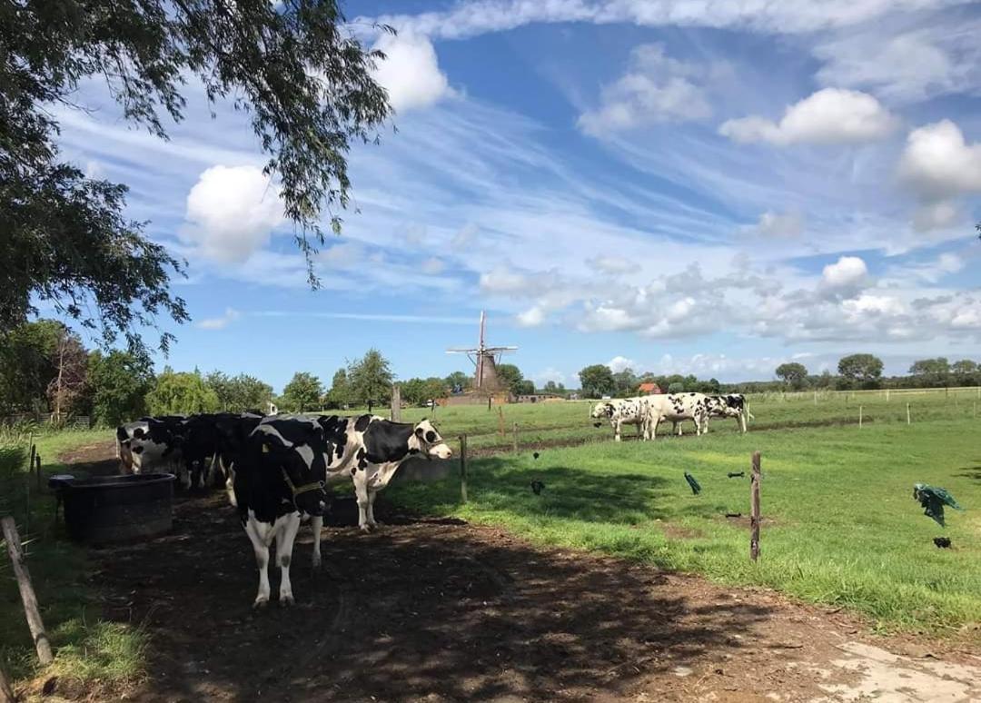 Villa Minicamping Dorpszicht Gapinge Exterior foto