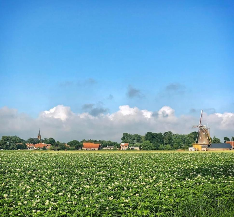 Villa Minicamping Dorpszicht Gapinge Exterior foto