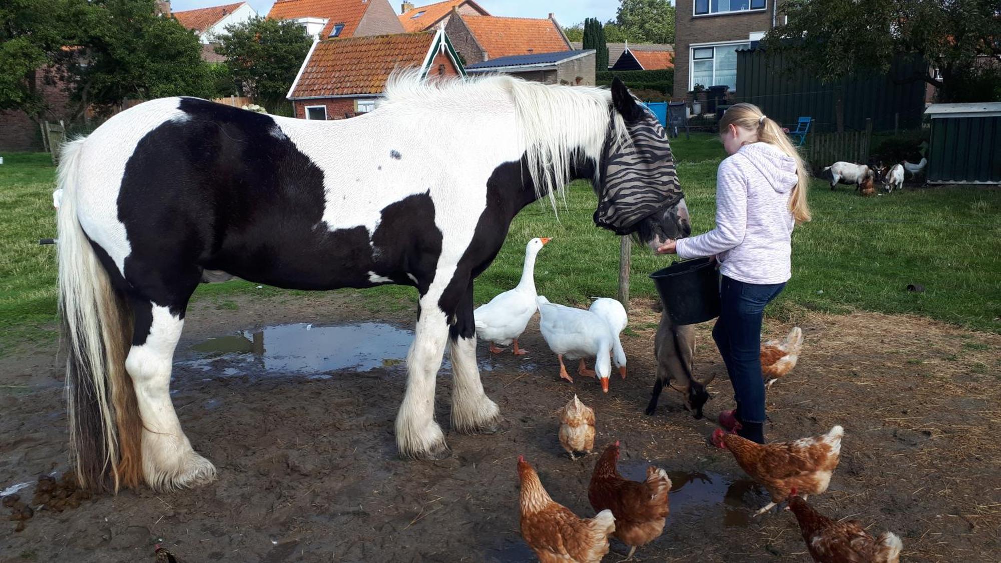 Villa Minicamping Dorpszicht Gapinge Exterior foto